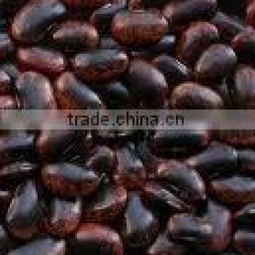 black speckled kidney beans