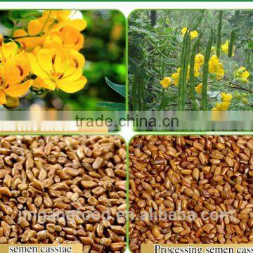 Chinese Semen Cassiae/Selected Medicinal Cassia Seed