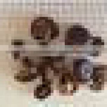 Dried Shiitake Mushroom From China photo-4