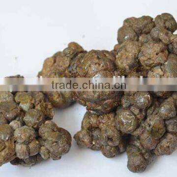 bee propolis powder with competitive price