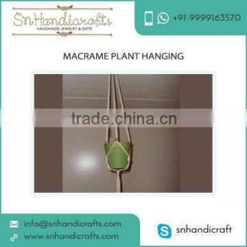 Durable Quality Macrame Plant Hanging at Affordable Market Price