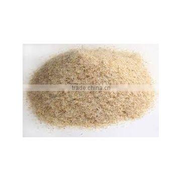 export psyllium husk