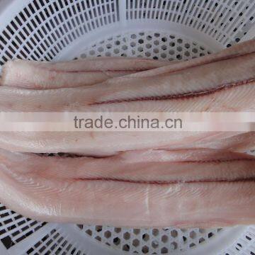 Well trimmed frozen fish fillet