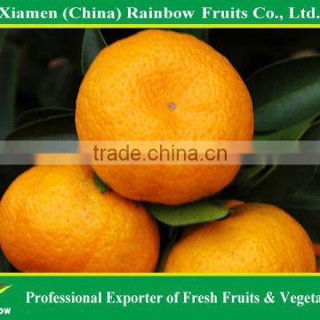 agriculture products to sale mandarin oragnes