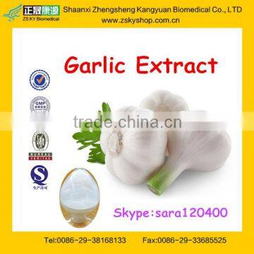 Garlic Extract Bulk Allicin Powder from professional factory