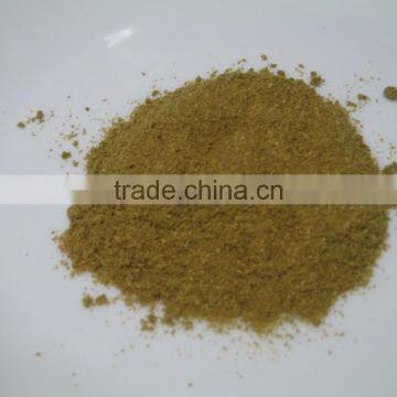 coriander powder