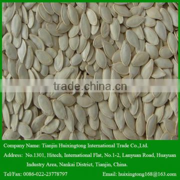 High Quality Raw Pumpkin Seeds with Shine Skin for Your Choice