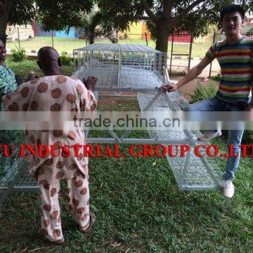 TAIYU Farm Machines for Laying Hens photo-2