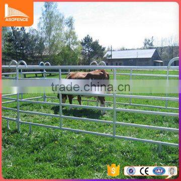 Best price for 40*40mm pipe horse fence 6pcs pipe cattle yard fence