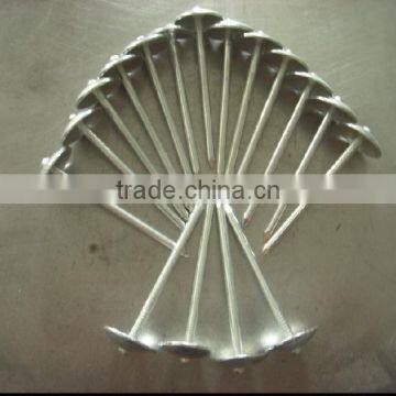 Black Roofing Nail photo-4