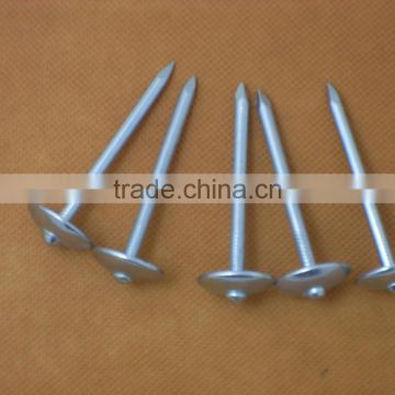 rubber washer roofing nails