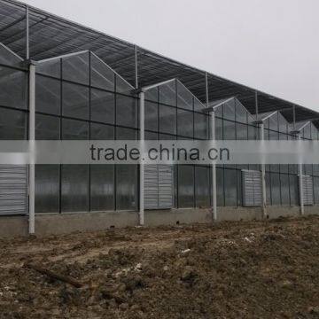 Economic Used in Greenhouse Venlo photo-6