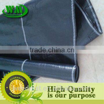 Black and Green Line pe Weedmat photo-6