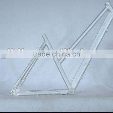 Urban bike frame (BGL-CBK04)