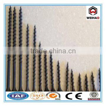 3.5 x 28mm Bugle Head Drywall Screw for Dubai photo-6
