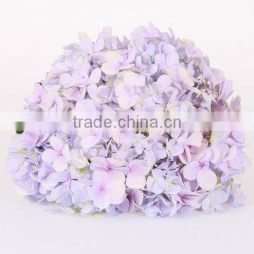 Weddings Decoration High Quality Hydrangea Flower With Big Size Wholesale From Kunming ,Yunnan