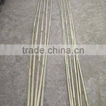 8~10mm * 120cm Dried Tonkin Bamboo Sticks