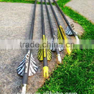 Striped Plastic Vanes Carbon Arrows with pin nocks