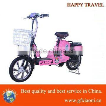 electric bicycle motor golden motor