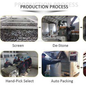 High Quality Turkish Sunflower Seed From Inner Mongolia photo-3