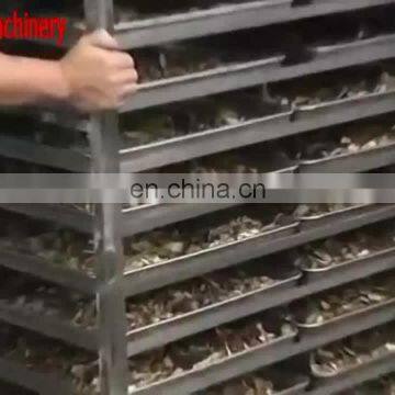 stainless steel food drying machine fruit drying machine cocoa bean drying machine