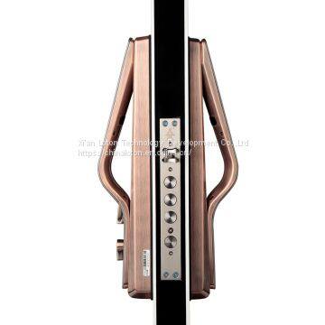 Automatic Anti-theft Electronic Smart Fingerprint Password Lock for Door photo-5