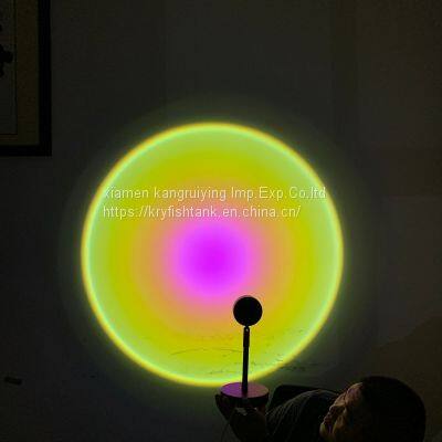 Modern LED Floor Lamp Floor Lamps Rainbow Sunsets Projection Background Room Decoration Standing Light in Pink