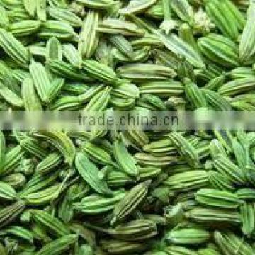 Fennel Seeds