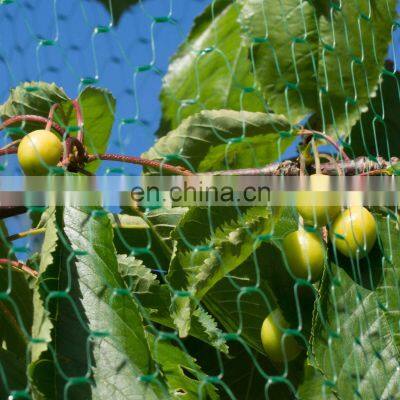 Good price garden hdpe anti bird protection net mesh