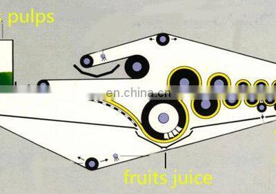 Industrial Cold Press Belt Type Apple Juice Extraction Machine Juicer Machine photo-5