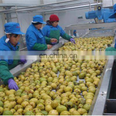 cherry juice fruit juice processing line fruit juice making machine production line