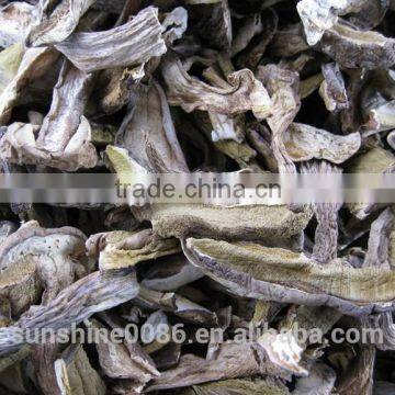 2016 New Cropped dried white porcini boletus edulis mushroom