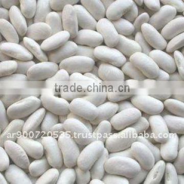 White kidney beans