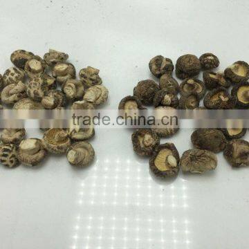 Edible Dried Black Mushroom photo-5