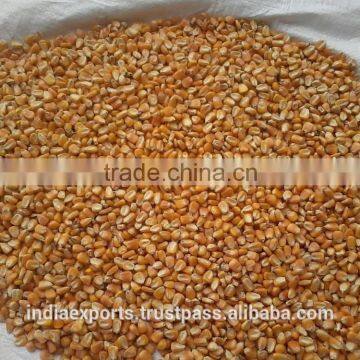 Yellow Corn for Animal Feed