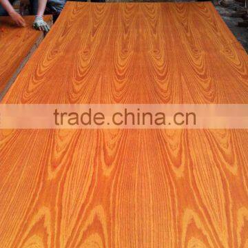 Russia Market Film Faced Plywood,Romania Market Film Faced Plywood photo-6