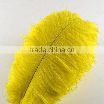 New Style Natural 10-12 Inch Ostrich Plumes for Party Decorations photo-5