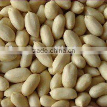Chinese New Crop Blanched Peanuts