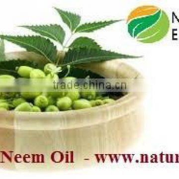 Certified Organic Cold Pressed Neem Oil ; Neem Oil