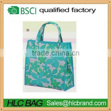 Pratical 600D Portable mini cooler bag for frozen food