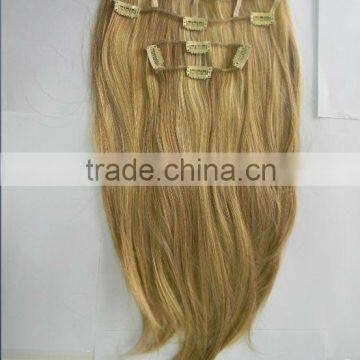 Clip in silk straight hair extension