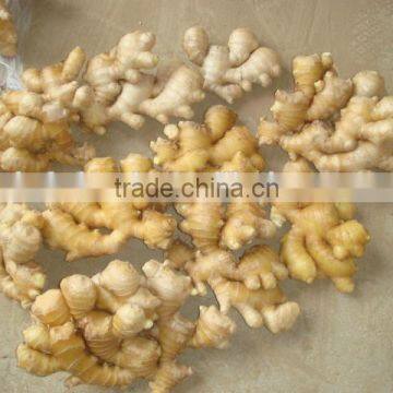 dried ginger