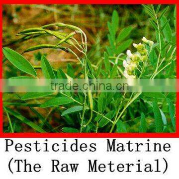 Plant extract pesticide Matrine 90% TC