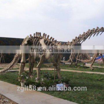 Outdoor Sunproof Life Size Dinosaur Fossil