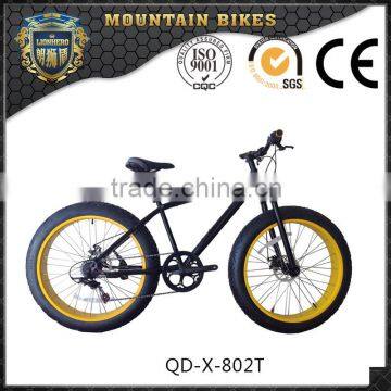 Fancy Design Custom Black Big Tire Snow Beach Fat Bike