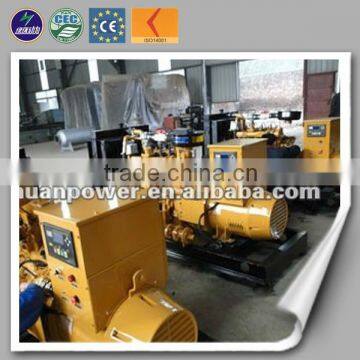 Factory price Farm and residents using CE ISO methane electric generator