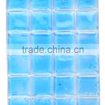 square grid biology ice pack for transportation and food freshness                        
                                                                                Supplier's Choice