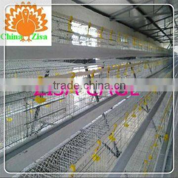 Kenya Marketsupply Poultry Layer Chicken Cage Farm Equipment Factory From Zisa photo-6