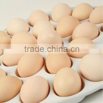 Wholesale Ceramic Egg Tray