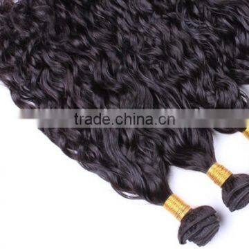 Brazilian Human Hair Sew in Weave Different Types of Curly Weave Hair Colored Brazilian Hair Weave photo-2